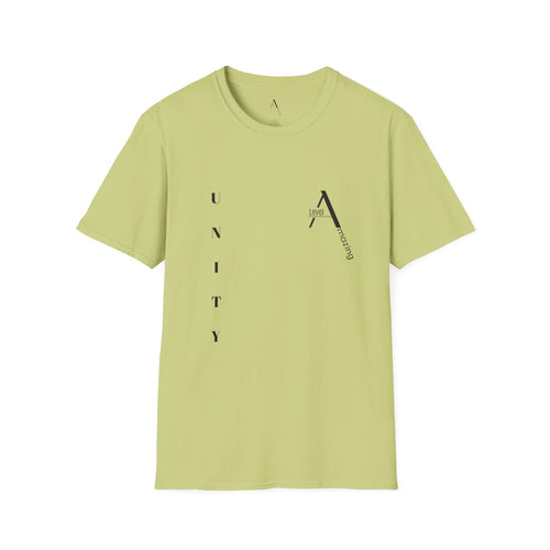 All The Same Different graphic tee in pistachio