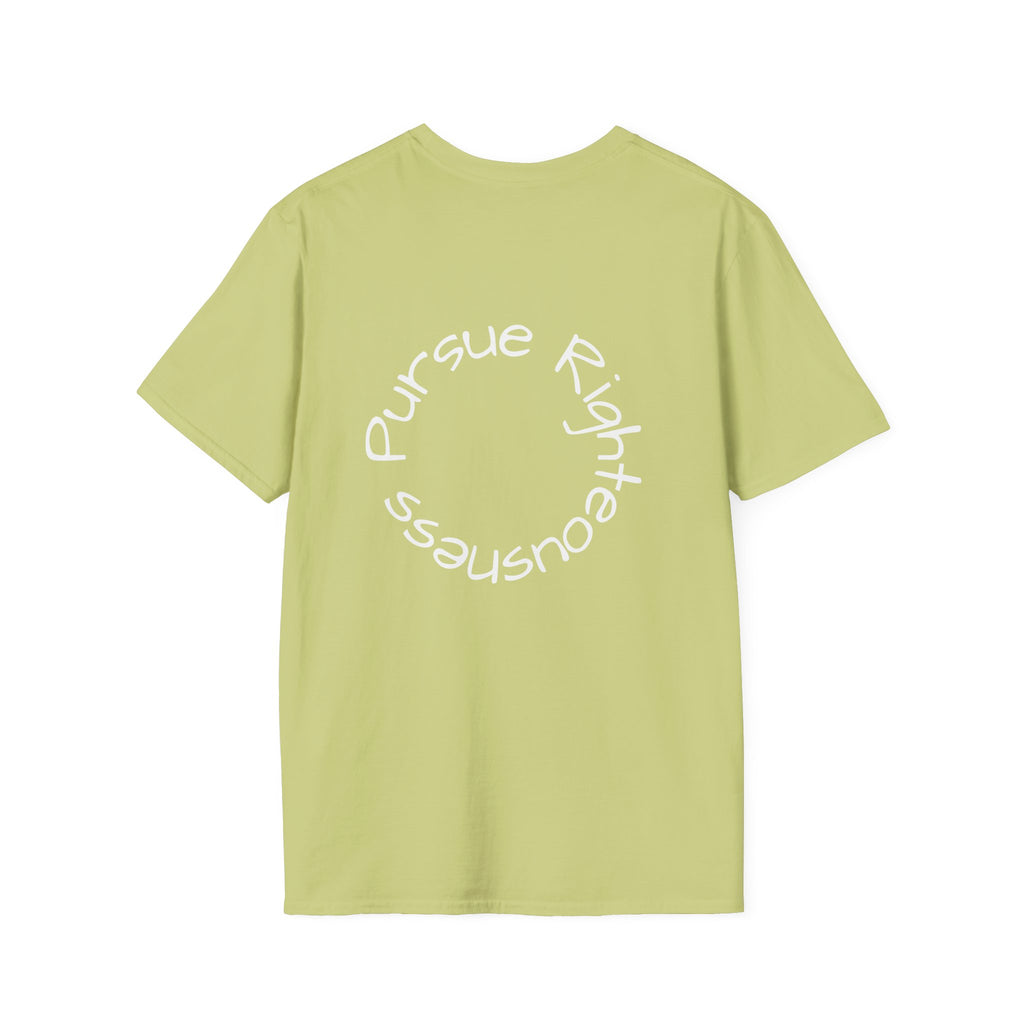 Pursue graphic tee in pistachio