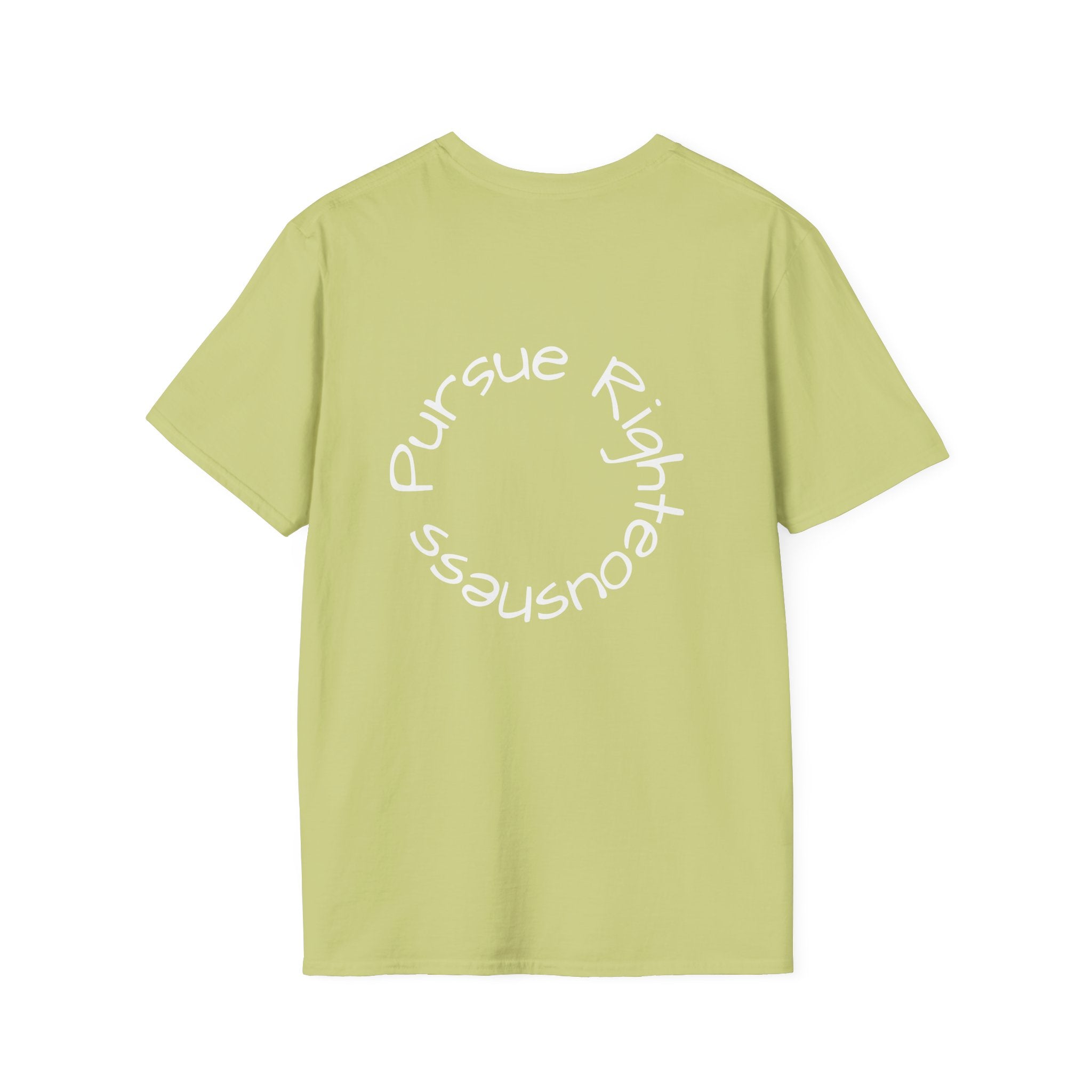 Pursue graphic tee in pistachio